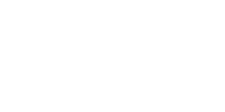Nami-electric-logo-blanc